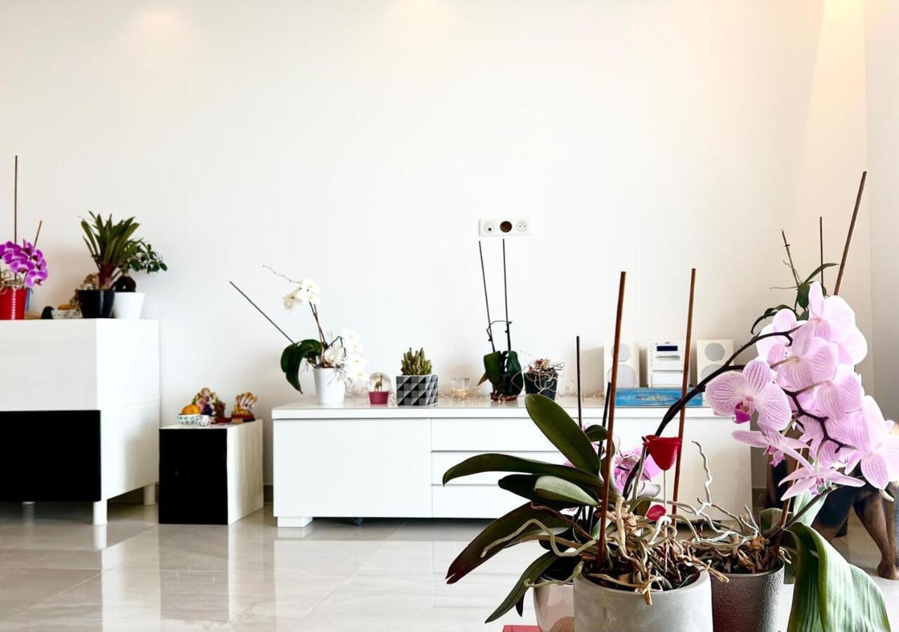 L'Appaloosa De Mer-Pool Tennis Parking-Sea View - -Capitalchic Services Cagnes Sur Me Ngoại thất bức ảnh