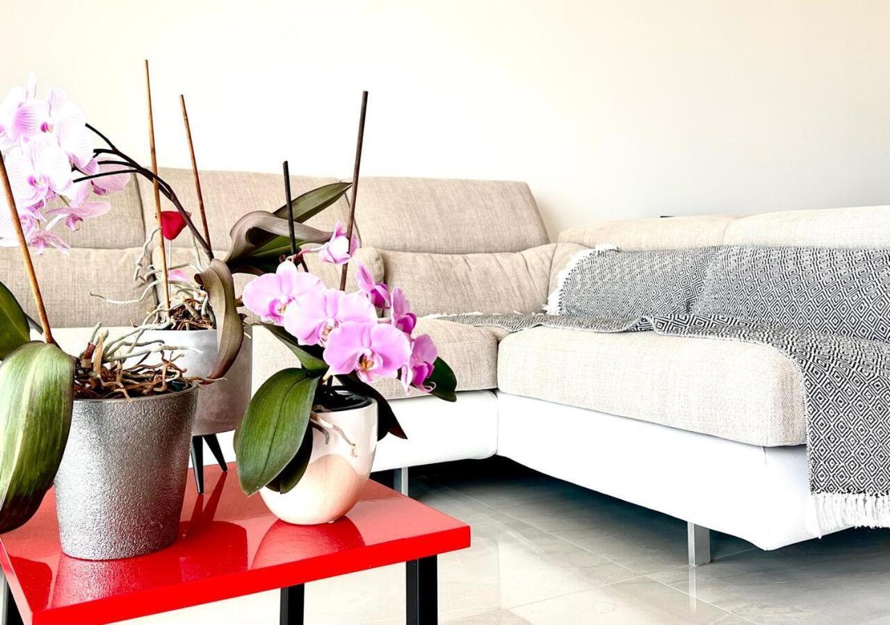 L'Appaloosa De Mer-Pool Tennis Parking-Sea View - -Capitalchic Services Cagnes Sur Me Ngoại thất bức ảnh
